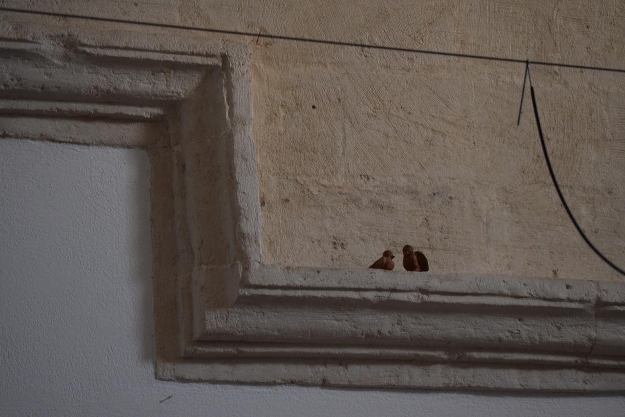 Corte Dei Venti Matera Luaran gambar